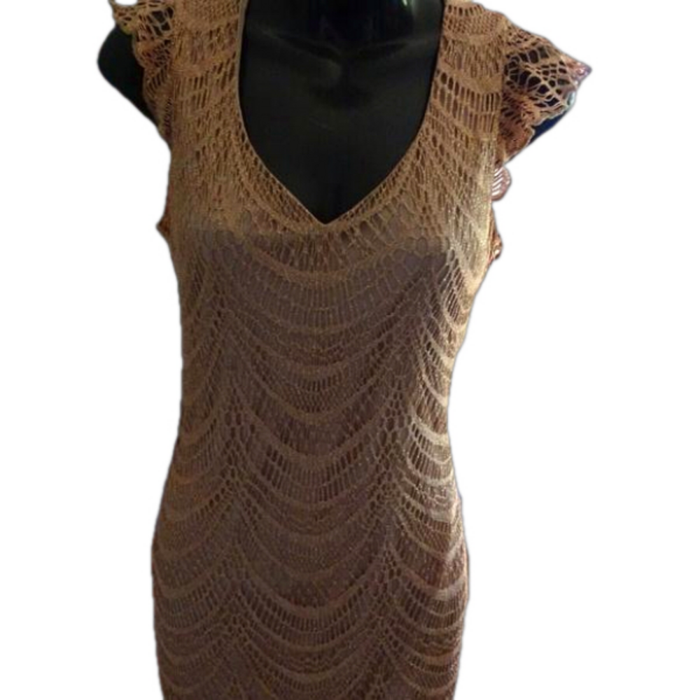 VENUS XS LACE  BLUSH DRESS